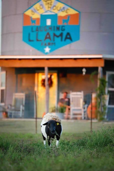 Silo House At Laughing Llama Farm Troy Exteriér fotografie